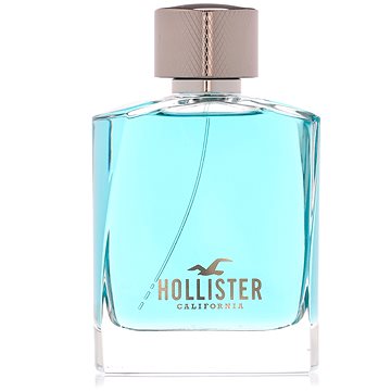 

HOLLISTER Wave For Him EdT 100 ml
