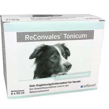 

Alfavet ReConvales tonikum pro psy