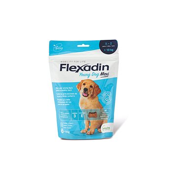 

Flexadin Young Dog Maxi žvýkací 60 tbl