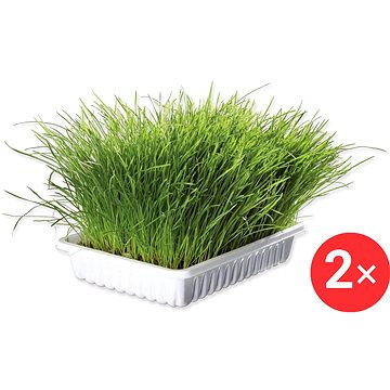 

Trixie Miska k naklíčení trávy pro koťata 2 × 100 g