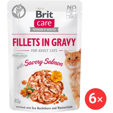 

Brit Care Cat Fillets in Gravy with Savory Salmon 6 × 85 g