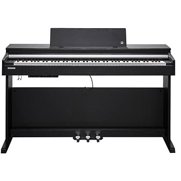 

KURZWEIL CUP M1 SR