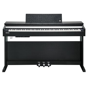 

KURZWEIL CUP M1 BK