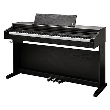 

KURZWEIL CUP E1 BK