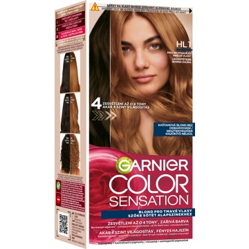 

GARNIER Color Sensation HL1 6.31 Black