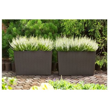

Lamela Truhlík WerbeRatan 190 × 560 mm černý