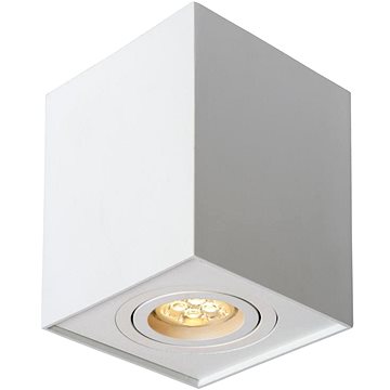 

Lucide 22953/01/31 - Bodové svítidlo TUBE 1xGU10/42W/230V bílá