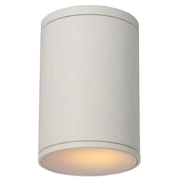 

Lucide 27870/01/31 - Koupelnové stropní svítidlo TUBIX 1xE27/24W/230V IP54