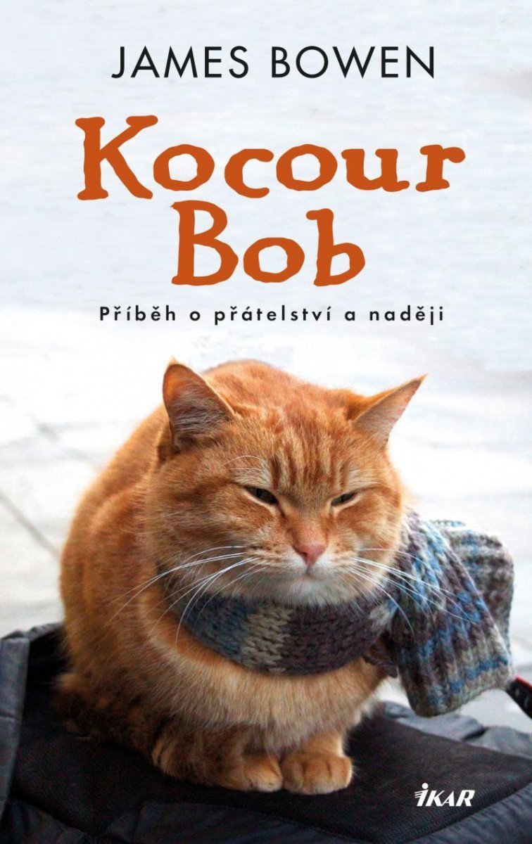 

Kocour Bob