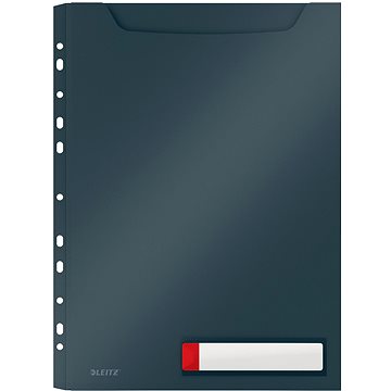 

LEITZ Cosy A4, PP, netransparentní, šedá, 3 ks