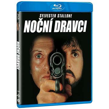 

Noční dravci