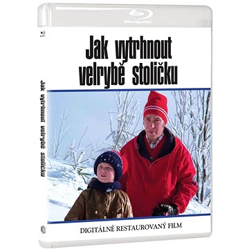

Jak vytrhnout velrybě stoličku