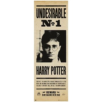

Harry Potter: Undesirable No.1 - plakát