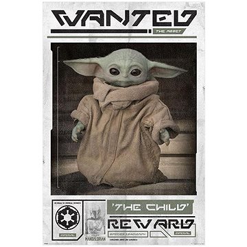 

The Mandalorian: Wanted The Child - plakát