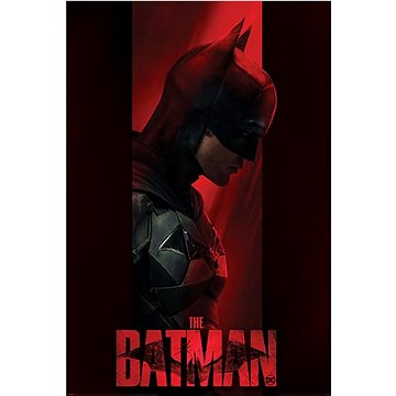 

DC Comics Batman Out Of The Shadows
