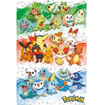 

Pokémon First Partners