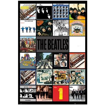 

The Beatles Albums
