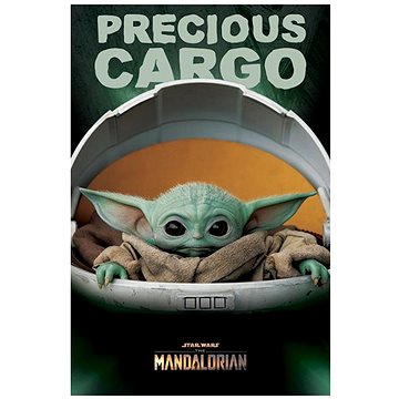 

Star Wars The Mandalorian Precious Cargo Young Yoda
