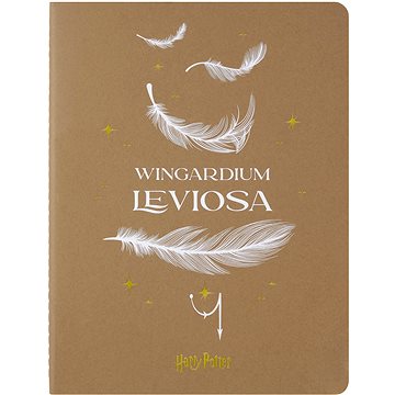 

MOLESKINE Harry Potter XL, linkovaný