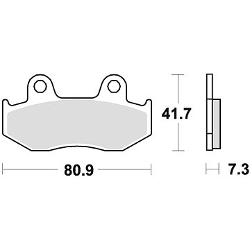 

Braking brzdové destičky (sinterová směs P30) (2ks) M501-309