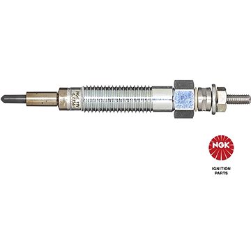 

NGK CZ256 90066