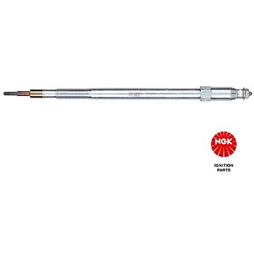

NGK CZ258 95173