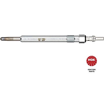 

NGK Y1031J DP-71 95970