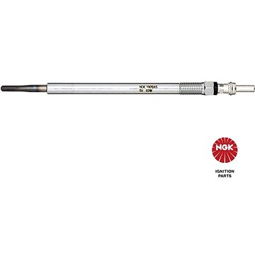

NGK 93065