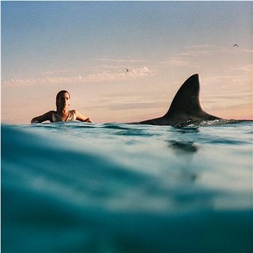 

Lipa Dua: Radical Optimism (Curacao Vinyl)