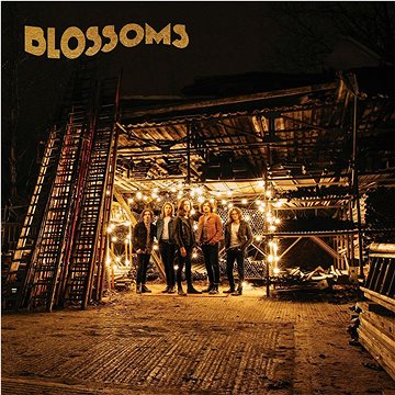 

Blossoms: Blossoms