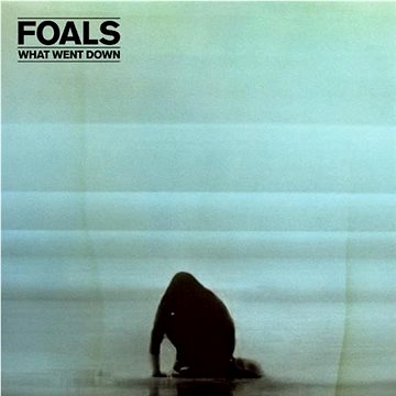 

Foals: What Went Down (CD+DVD)