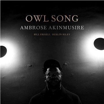 

Akinmusire Ambrose: Owl Song (feat. Bill Frisell & Herlin Riley)