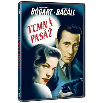 

Temná pasáž