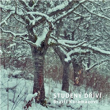 

Bratři Karamazovi: Studený dříví