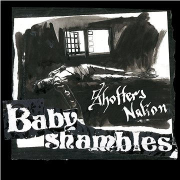 

Babyshambles: Shotter's Nation (Limited Clear Vinyl)