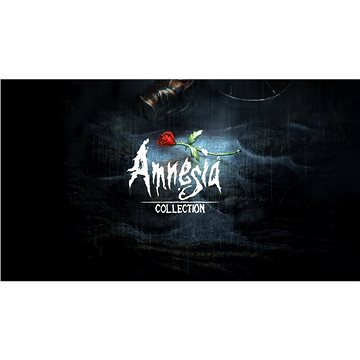 

Amnesia Collection - PC DIGITAL