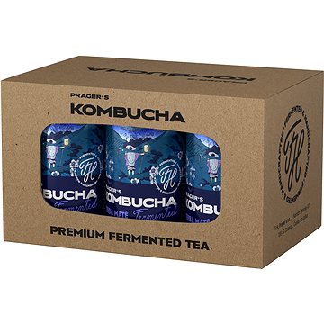 

Prager's Kombucha Yerba Maté 6× 0,33l