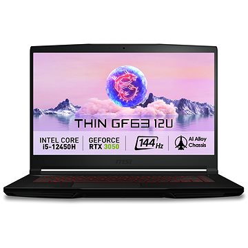 

MSI GF63 Thin 12UDX-255XCZ