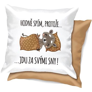 

Nekupto Vtipný polštář Hodně spím, protože jdu za svými sny!