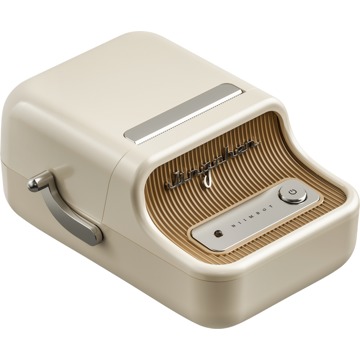 

Niimbot B21_PRO Creamy White