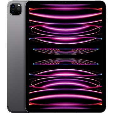 

iPad Pro 11" 2TB Cellular M2 Vesmírně šedý 2022