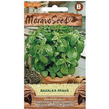 

MORAVOSEED CZ Bazalka pravá, zelená