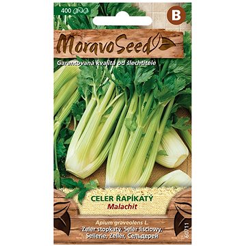 

MORAVOSEED CZ Celer řapíkatý MALACHIT, zelený