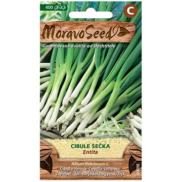 

MORAVOSEED CZ Cibule zimní ENTITA, sečka