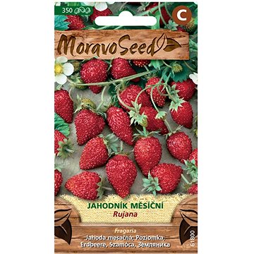 

MORAVOSEED CZ Jahodník měsíční