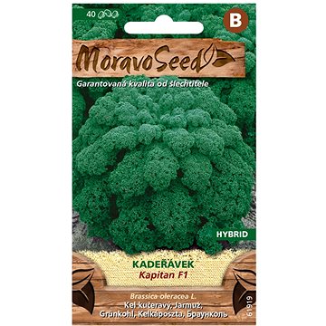 

MORAVOSEED CZ Kadeřávek KAPITAL F1 - hybrid, zelený