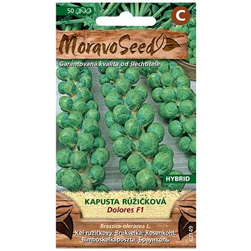 

MORAVOSEED CZ Kapusta růžičková DOROLES F1 - hybrid