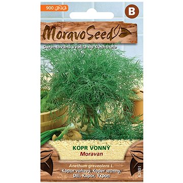 

MORAVOSEED CZ Kopr vonný MORAVAN