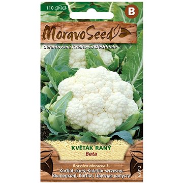 

MORAVOSEED CZ Květák raný BETA
