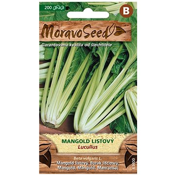 

MORAVOSEED CZ Mangold listový LUCULLUS, zelený